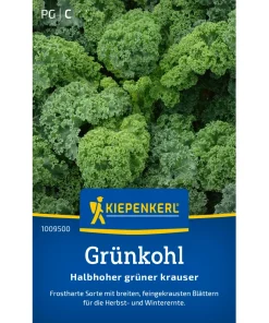 Sämerei-Grünkohl ‚Halbhoher Grüner Krauser‘
