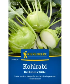 Sämerei-Kohlrabi ‚Delikateß weißer‘