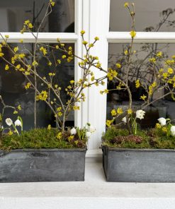 Zinktopf, Blumenkasten länglich – 2 Größen