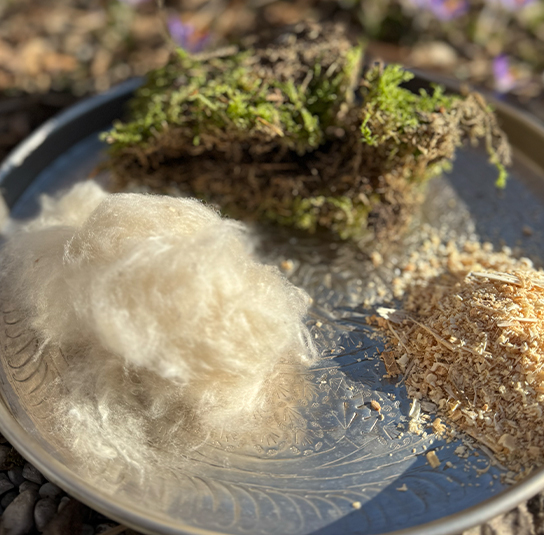 Hummelkasten inklusive Kapok, Sägemehl und Moos - Image 6