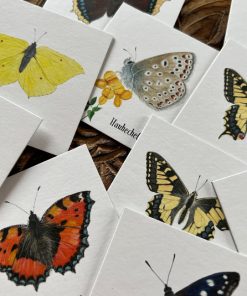 Memoriespiel Heimische Schmetterlinge